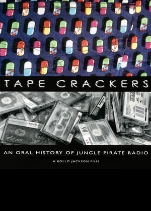 Pirate Radio (2009) Dual Audio | Dubbed Hindi Movie BluRay [1GB]